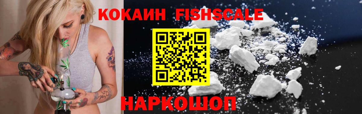 Раменское  купить закладку  Вход с VPN  Cocaine Fish Scale 