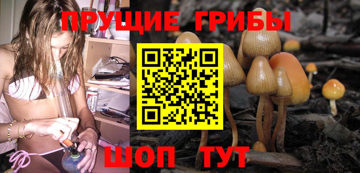 Псилоцибиновые грибы Psilocybine cubensis Раменское