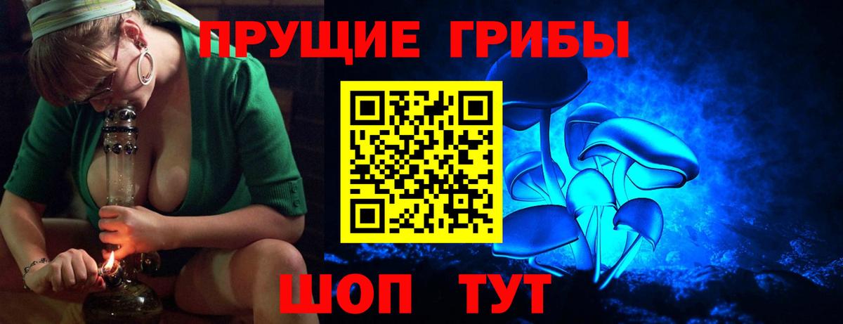 Раменское  Галлюциногенные грибы Cubensis  Вход с VPN 